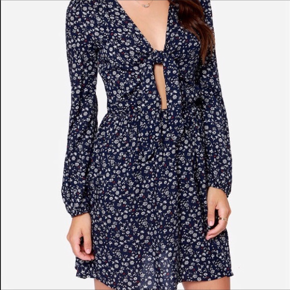 NWOT ditsy floral peekaboo dress
